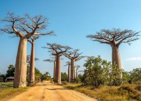 راهنمای سفری ماداگاسکار آفریقا