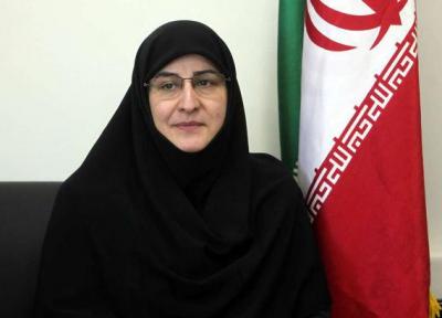 اجرای طرح جامع خشونت زدایی همه جانبه در مدارس ابتدایی کشور