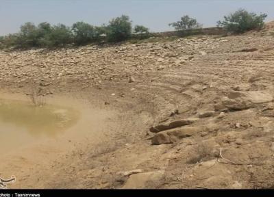 8 نکته درباره اهمیت خاک