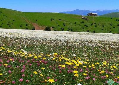 4هزار هکتار از جنگل فندقلو برای سرمایه گذاری گردشگری مطالعه می گردد