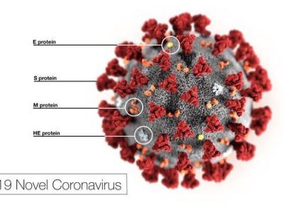 شایع ترین علامت بیماری کرونا ویروس، در ابتدا تب و سپس مسائل ریوی است