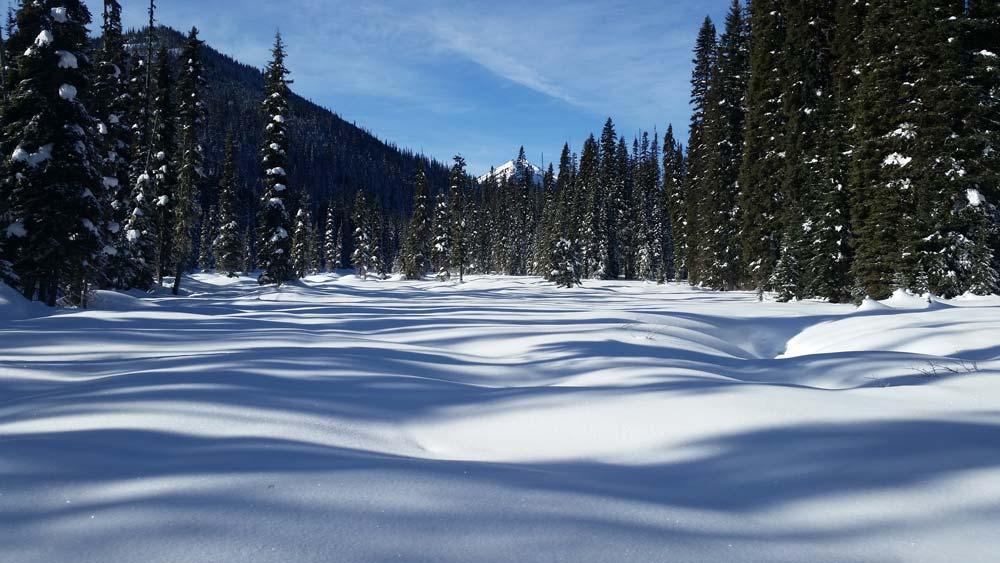 8 واقعیت جالب درباره زمستان های کانادا