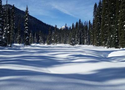 8 واقعیت جالب درباره زمستان های کانادا