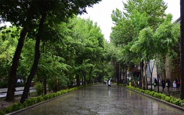 بارش پراکنده در برخی از استان های شمالی بارش پراکنده در بعضی از استان های شمالی