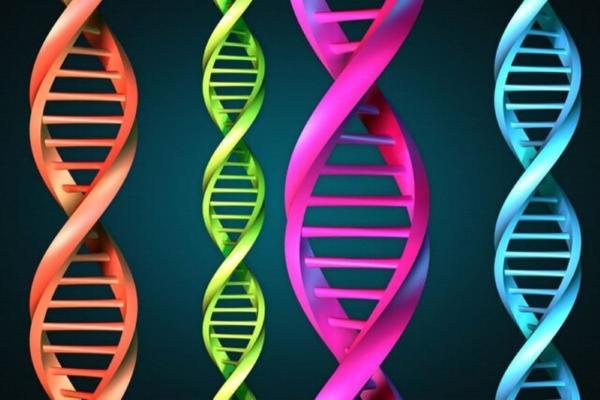 60 ژن نو مرتبط با اوتیسم کشف شد